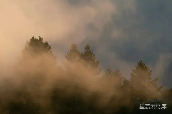 高清摄影 白云下的绿树