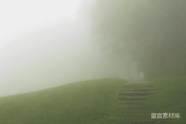 高清摄影 一个草地上有几级台阶的雾气弥漫之地