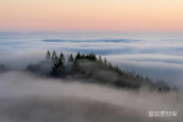 高清摄影 一座山顶被雾覆盖的山坡上长满了树木。