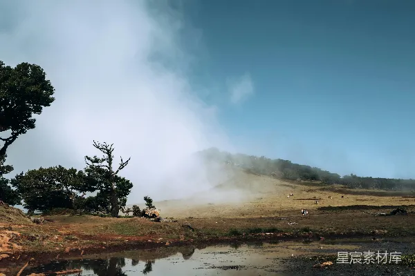 高清摄影 一片围绕着树木的小水塘