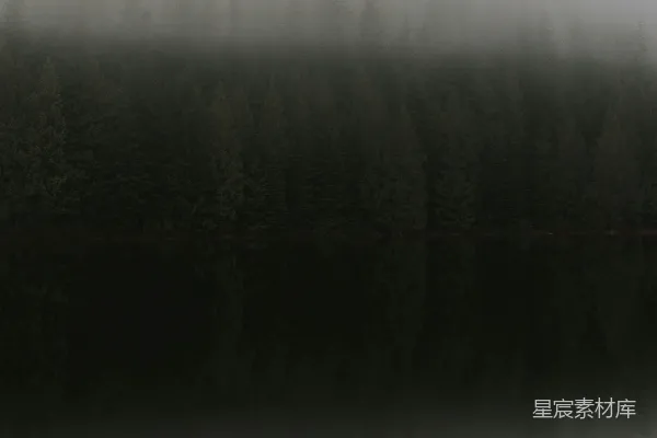 高清摄影 背景中有树木的雾气笼罩的湖面