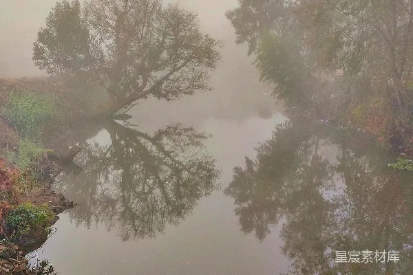 高清摄影 被树木环绕的雾中水域