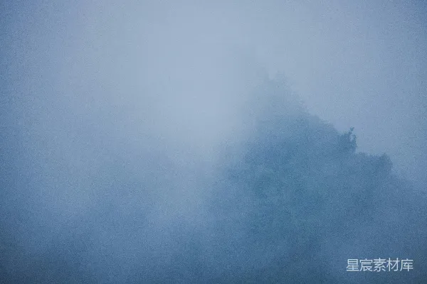 高清摄影 雾天中的一棵树