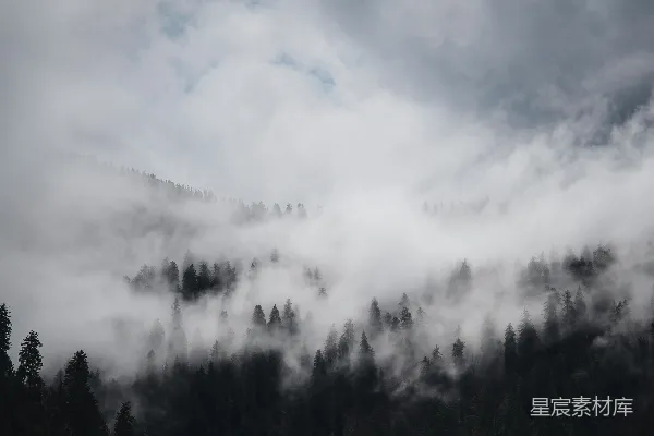 高清摄影 山峦被雾气覆盖，树丛在阴云密布的天空下。