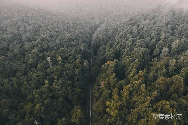 高清摄影 森林间道路的航拍