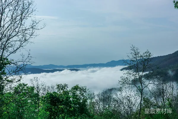 高清摄影 白天绿树环绕的水域附近