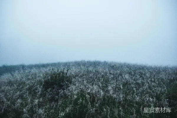 高清摄影 白天绿草地上方白云蓝天