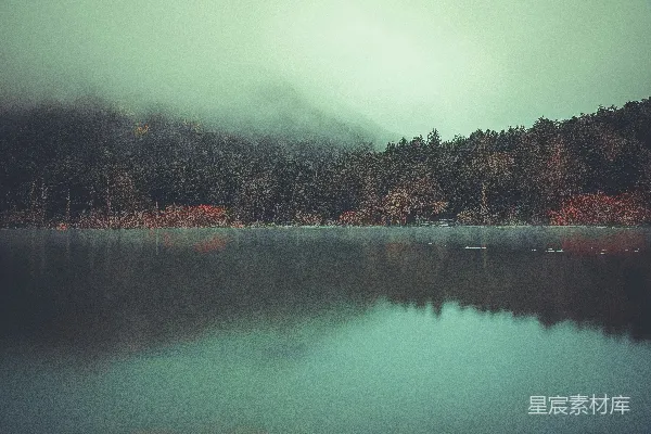 高清摄影 湖边森林在白天的景象