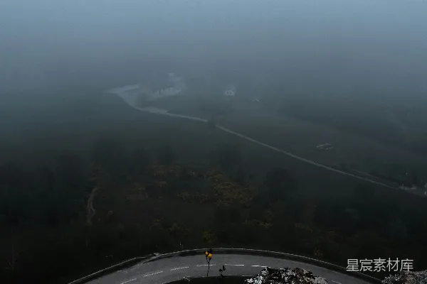 高清摄影 路旁树木的空中照片