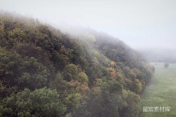 高清摄影 山间雾日的绿树