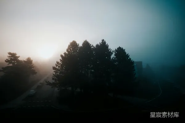 高清摄影 白天绿树蓝天下