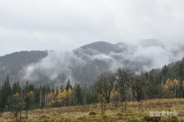 高清摄影 背景有树林和山的草地