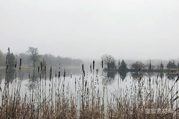 高清摄影 一片被高干草地围绕的水域