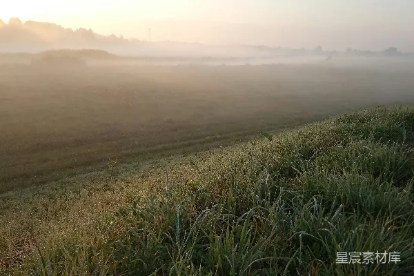 高清摄影 白天绿草地上方是蓝天