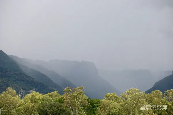 高清摄影 前景中有树木的山峦景色