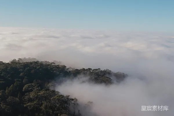 高清摄影 一片被云层覆盖的森林景象