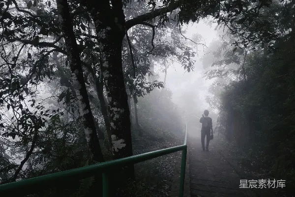 高清摄影 一个人在林间小路上行走