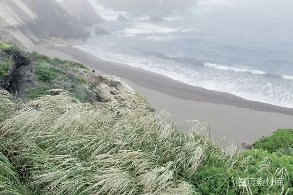 高清摄影 海滩上的雾天，前方有冲浪板。