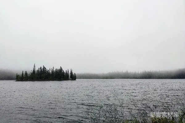 高清摄影 白天绿草地附近的水域