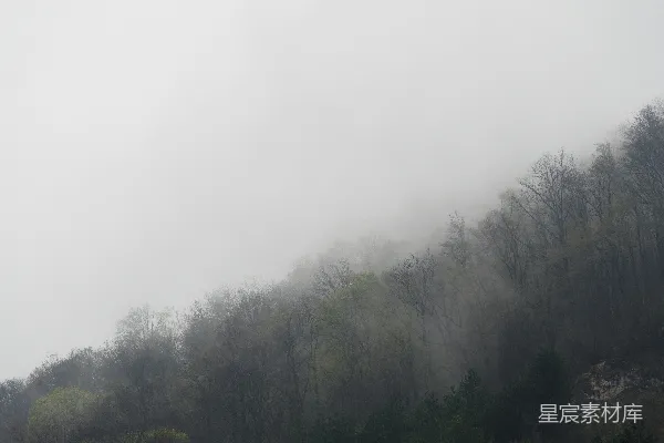 高清摄影 一个被雾和树木覆盖的小山在阴天里