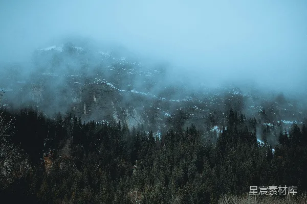 高清摄影 雾天森林覆盖着白雪的 aerial 拍摄