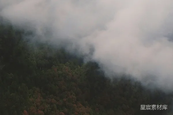 高清摄影 白天的森林与云朵