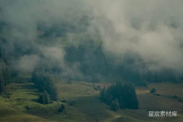 高清摄影 有树有云的风景