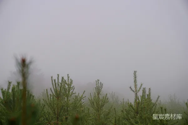 高清摄影 白天绿草地上方白云蓝天