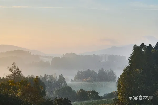 高清摄影 远处有一片树木和薄雾的田野