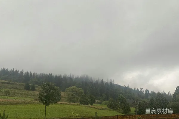 高清摄影 有篱笆和树的一片田野在阴天的背景下