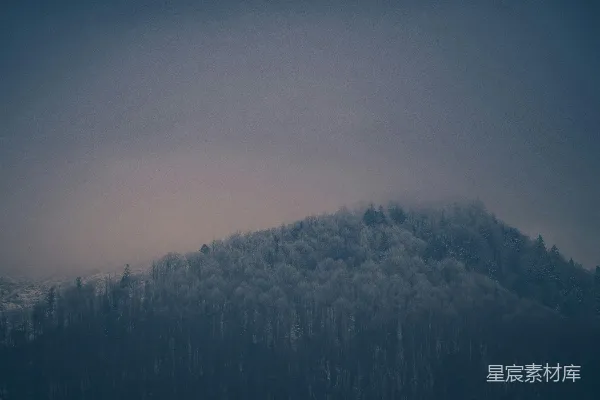 高清摄影 山间白天绿树