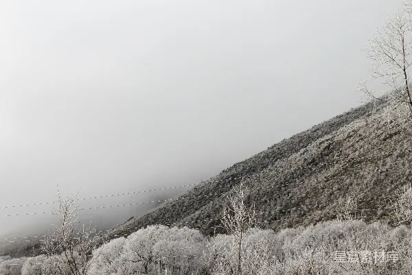 高清摄影 山顶白雪覆盖旁边是森林