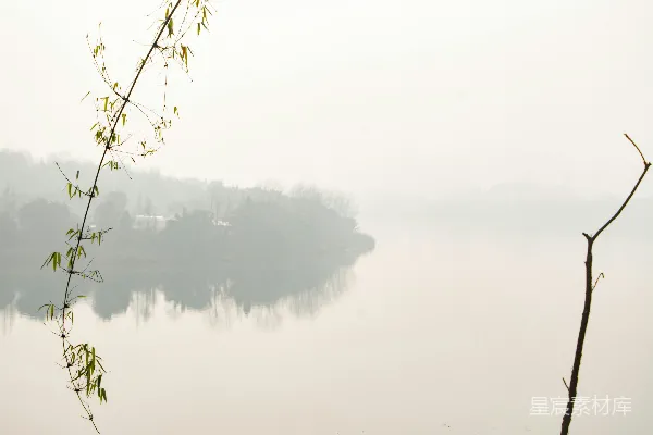 高清摄影 前景中有一棵树干的水域