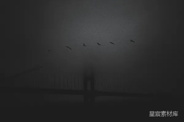 高清摄影 一群鸟飞过一座雾中的桥