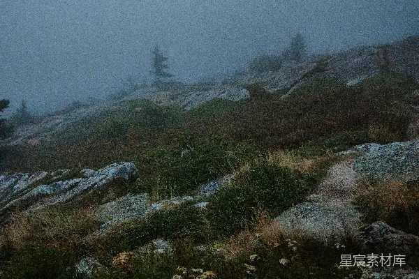 高清摄影 雾气弥漫的风景中有岩石和植物