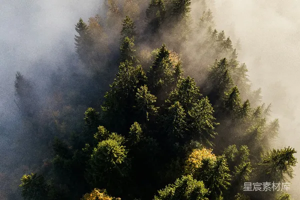 高清摄影 山间绿树