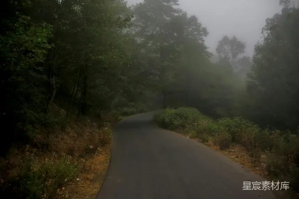 高清摄影 路边有树的道路
