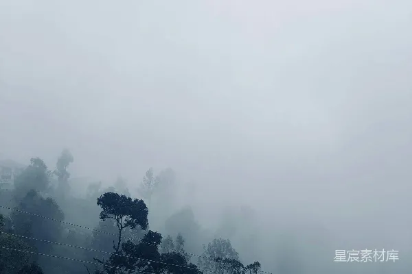 高清摄影 白天绿树下的蓝天
