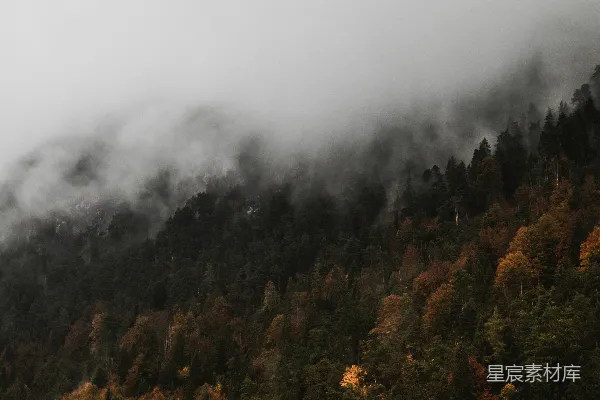 高清摄影 一座被雾覆盖的山峰，前景是树木。