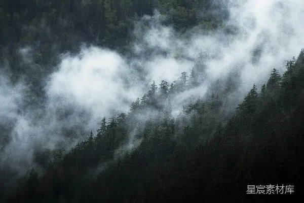 高清摄影 山峦被雾气覆盖，背景是树木。