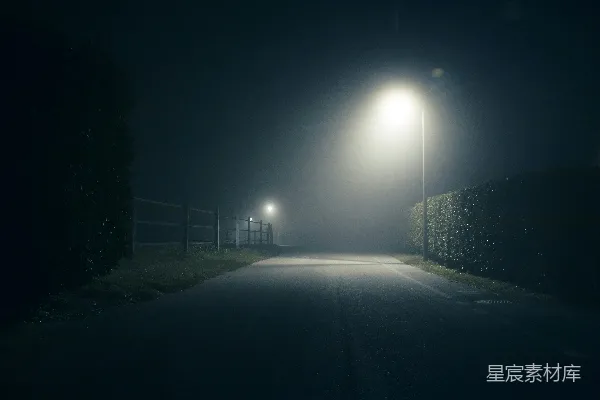 高清摄影 夜间灯泡亮了