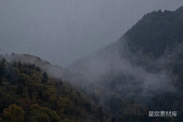 高清摄影 雾蒙蒙的山林