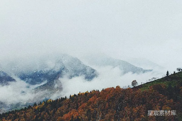 高清摄影 前景中几棵树的山景