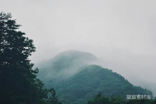 高清摄影 前景中有树木的一座山景