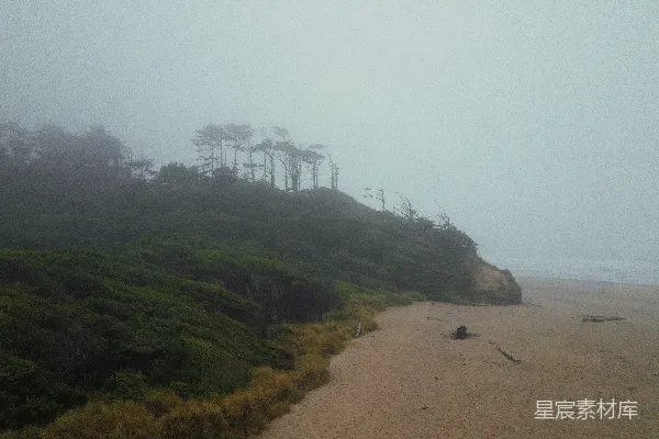 高清摄影 雾气弥漫的海滩上有一片树林在山顶上