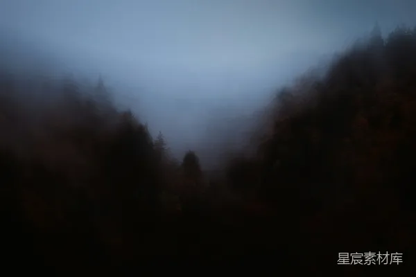 高清摄影 白天绿树下的蓝天