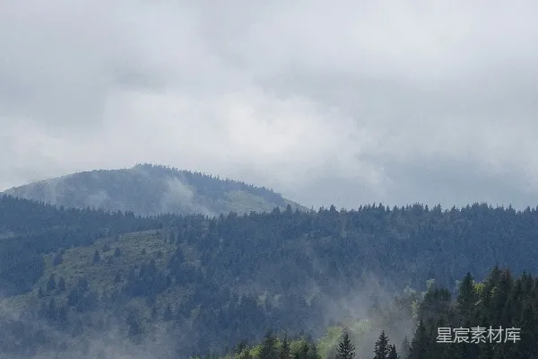 高清摄影 前景有树木的山脉景色