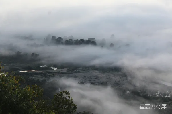高清摄影 雾中的山谷，前景中有树木。