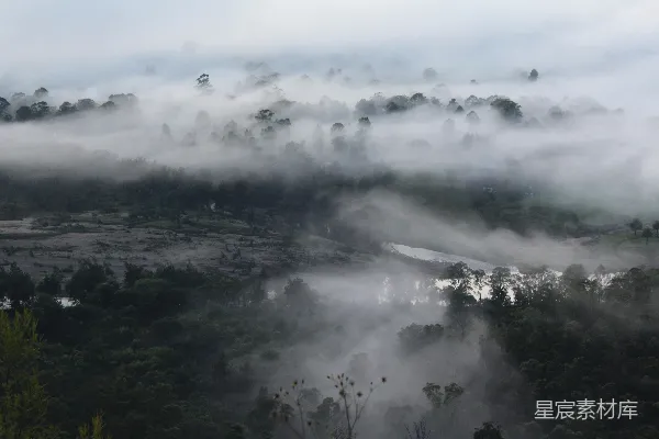 高清摄影 一幅雾气缭绕的山谷景象，前景中有树木。