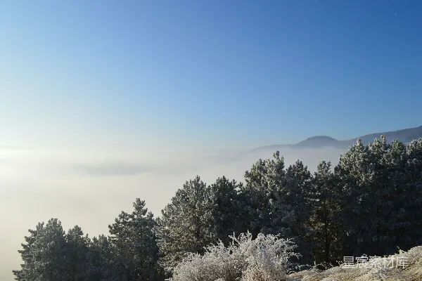 高清摄影 山中白天绿树